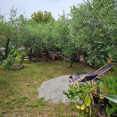 Apartament Purić *